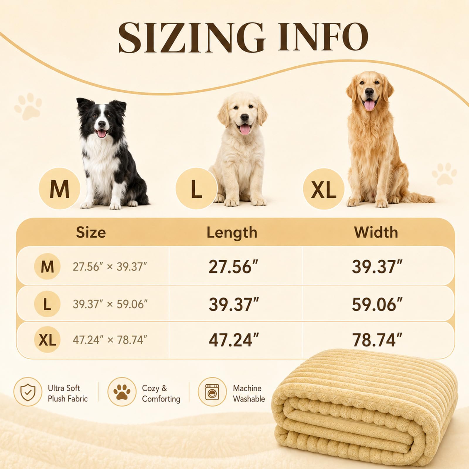 DOG IS KING comparaison taille montrant dimensions et échelle pratique