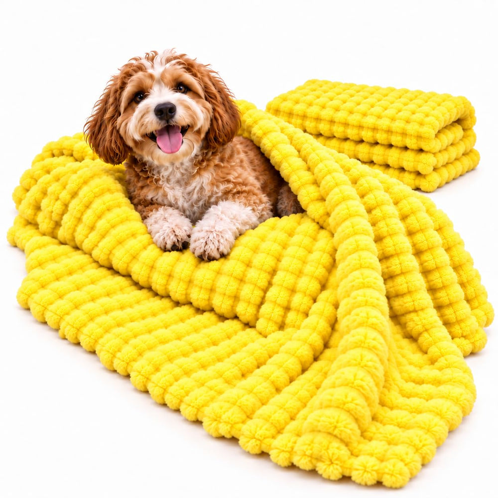 DOG IS KING couverture face avant montrant confort et protection