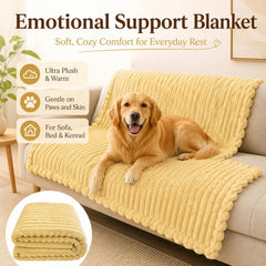 DOG IS KING couverture sur canapé protège et rend confortable