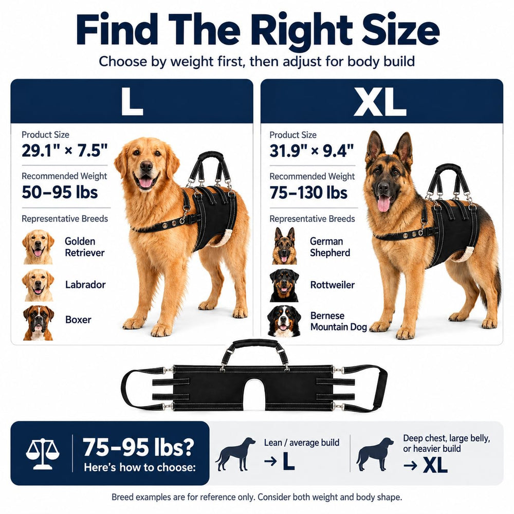 Generic Dog Lift harnais en usage avec grand chien facilitant la marche assistée