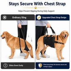 Generic Dog Lift harnais rembourrage doux réduisant frottements et inconfort