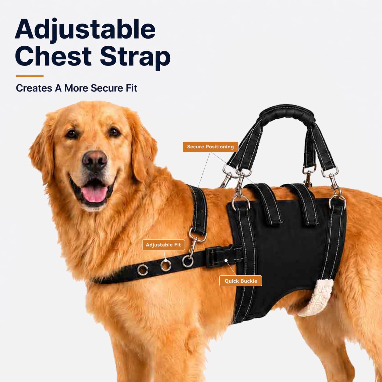Generic Dog Lift harnais ouverture confort pour mâles limitant la pression