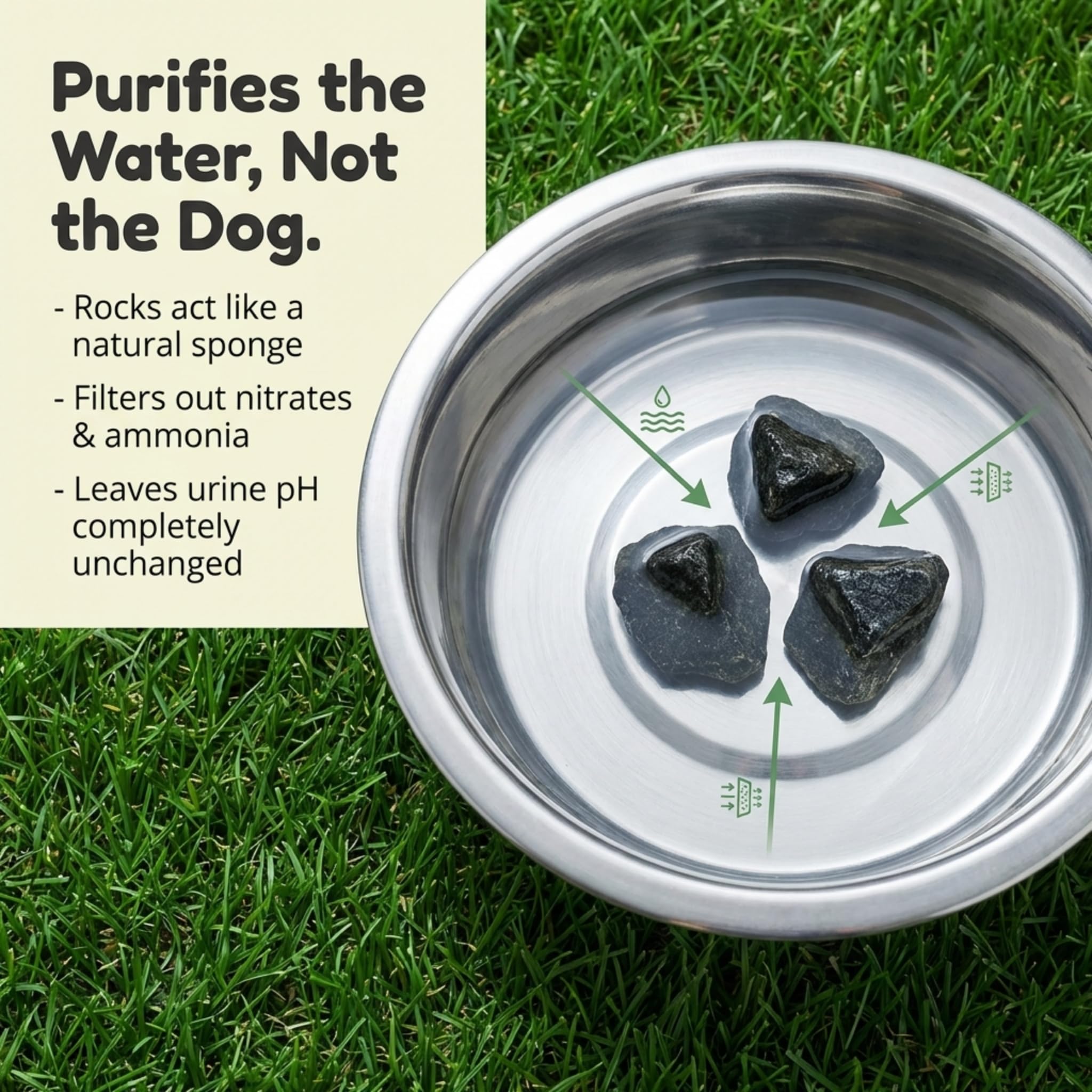 Dog Rocks dans une gamelle d'eau signale l'usage simple et pratique