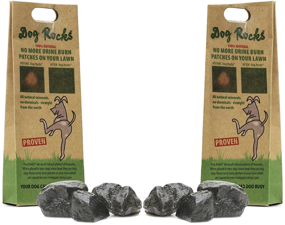 Gros plan Dog Rocks texture minérale filtrante pour eau de chien
