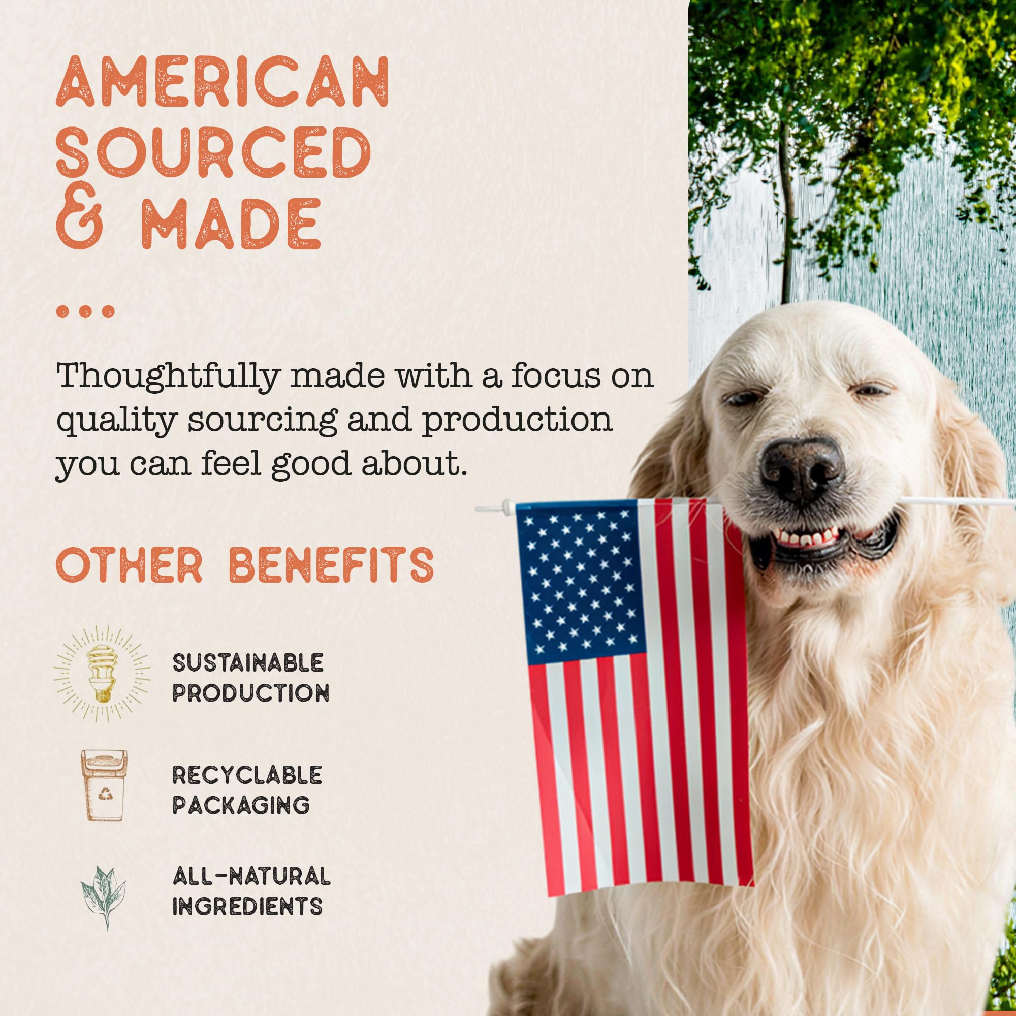Dog Treat Naturals bâtonnet à côté d’une règle pour visualiser taille et portions