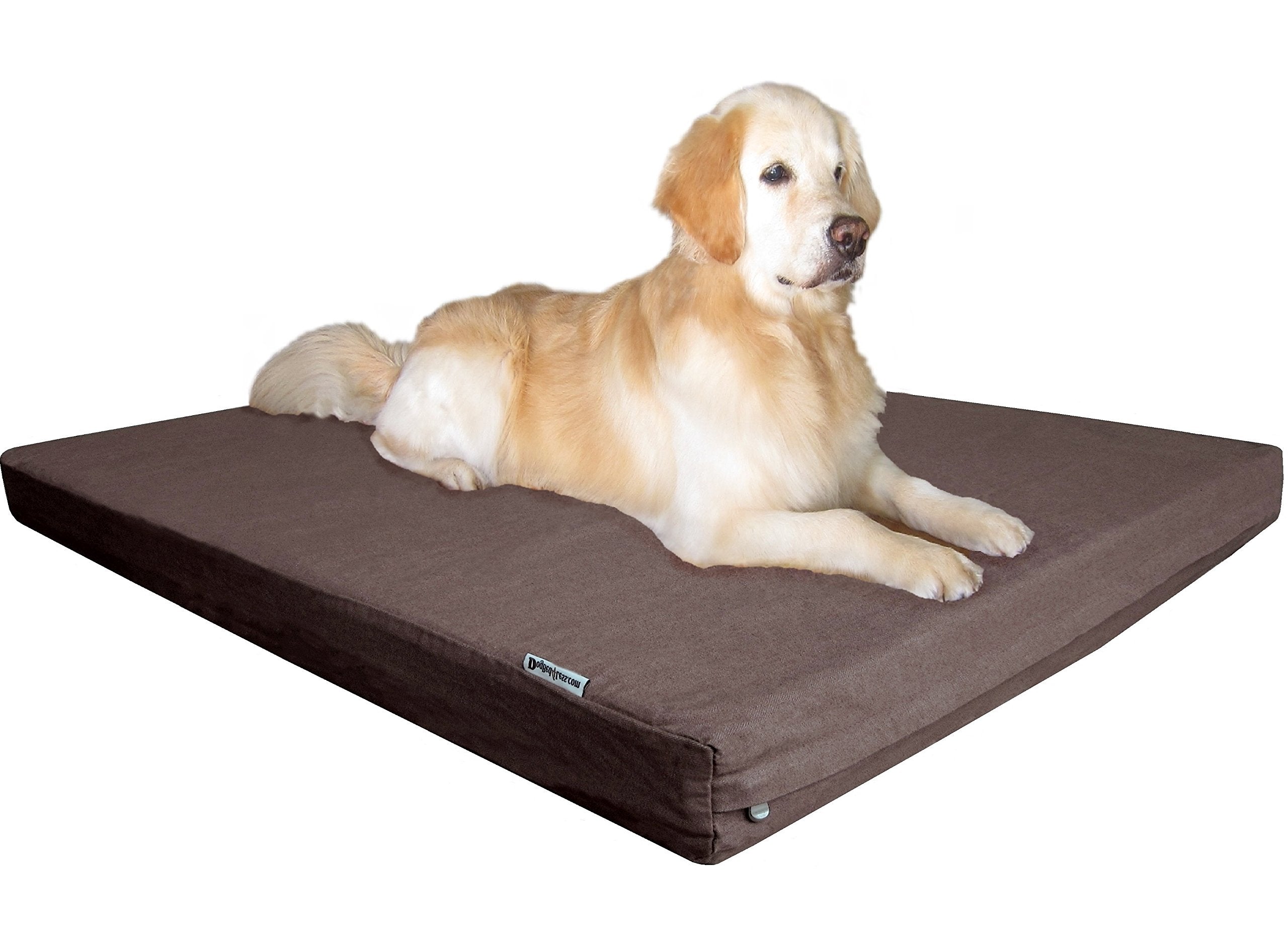 Dogbed4less mise en scène salon intégrée au décor pour confort