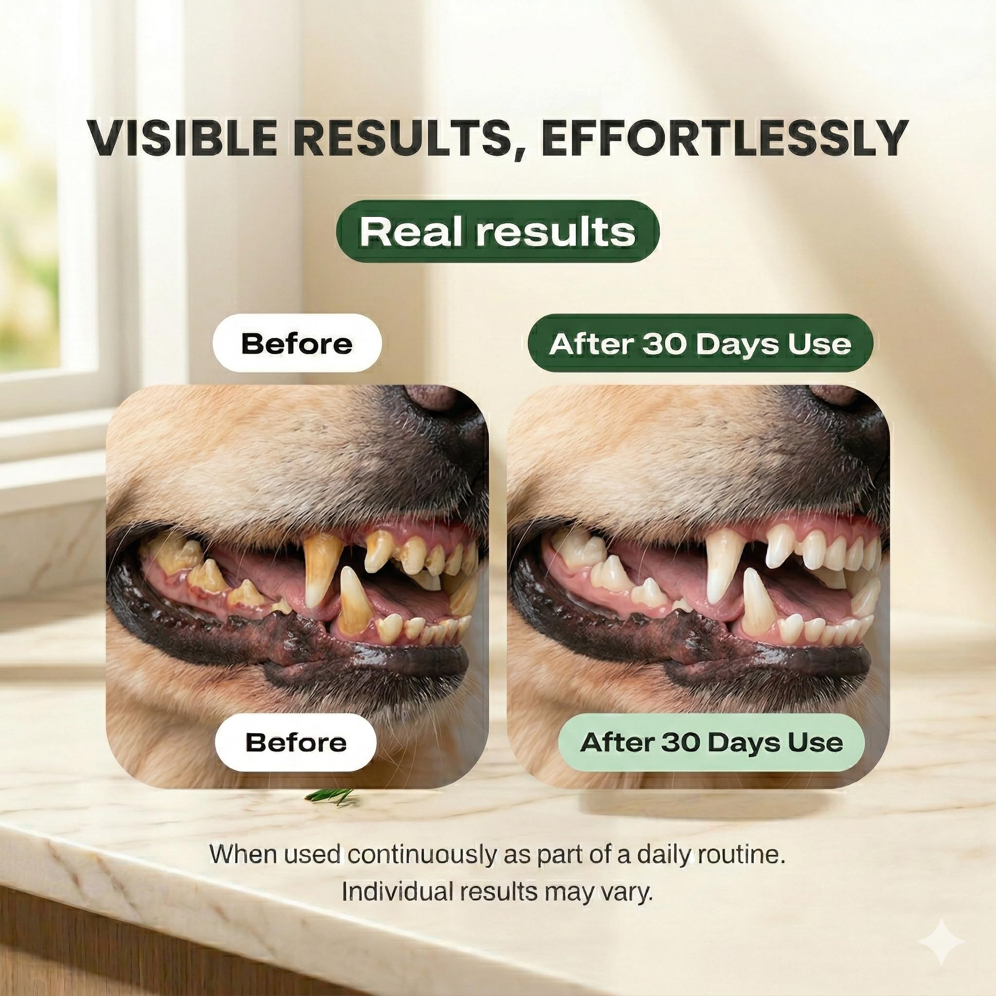 Étiquette Dogbiotics détaillant COHP et ingrédients, transparence et sécurité