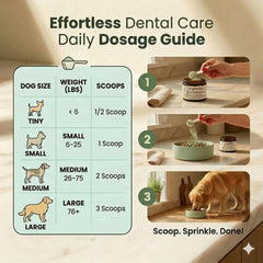 Dogbiotics gros plan poudre texture fine, ingrédient human‑grade appétent