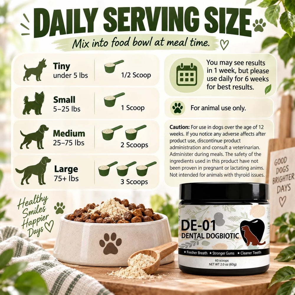 Chien mangeant aliment saupoudré Dogbiotics dental, améliore l’acceptation du soin