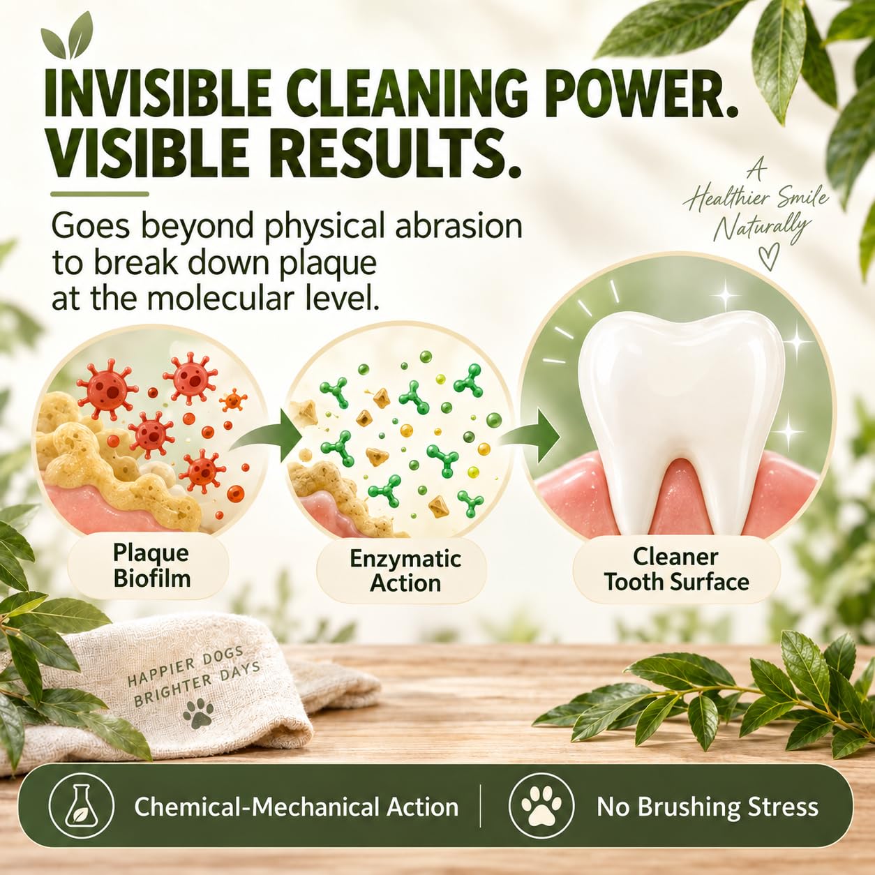Dogbiotics dental cuillère doseuse et échelle, assure un dosage pratique précis