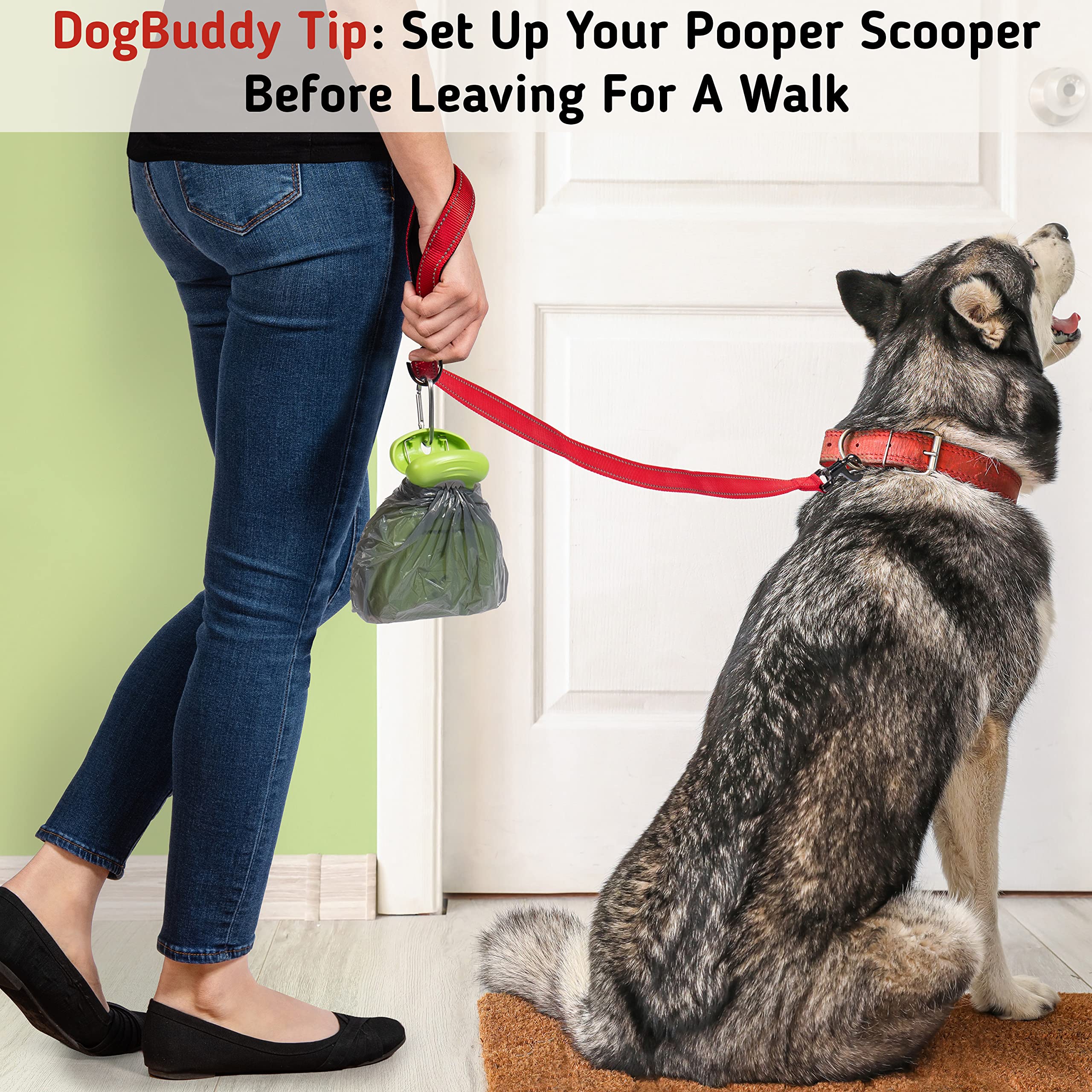 DogBuddy comparaison de taille Medium pour choix adapté au chien