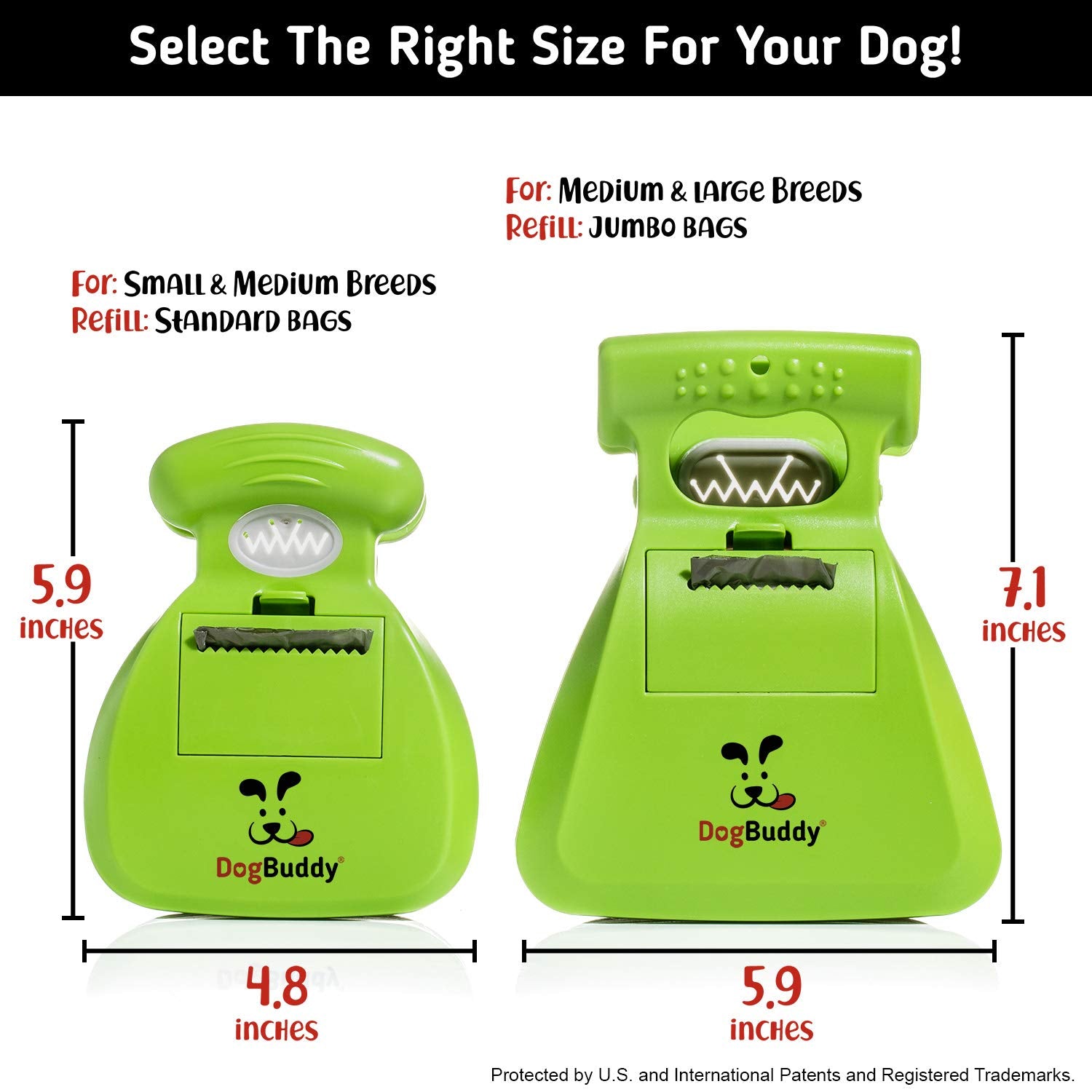 DogBuddy gros plan mécanisme montrant prise ferme et durable
