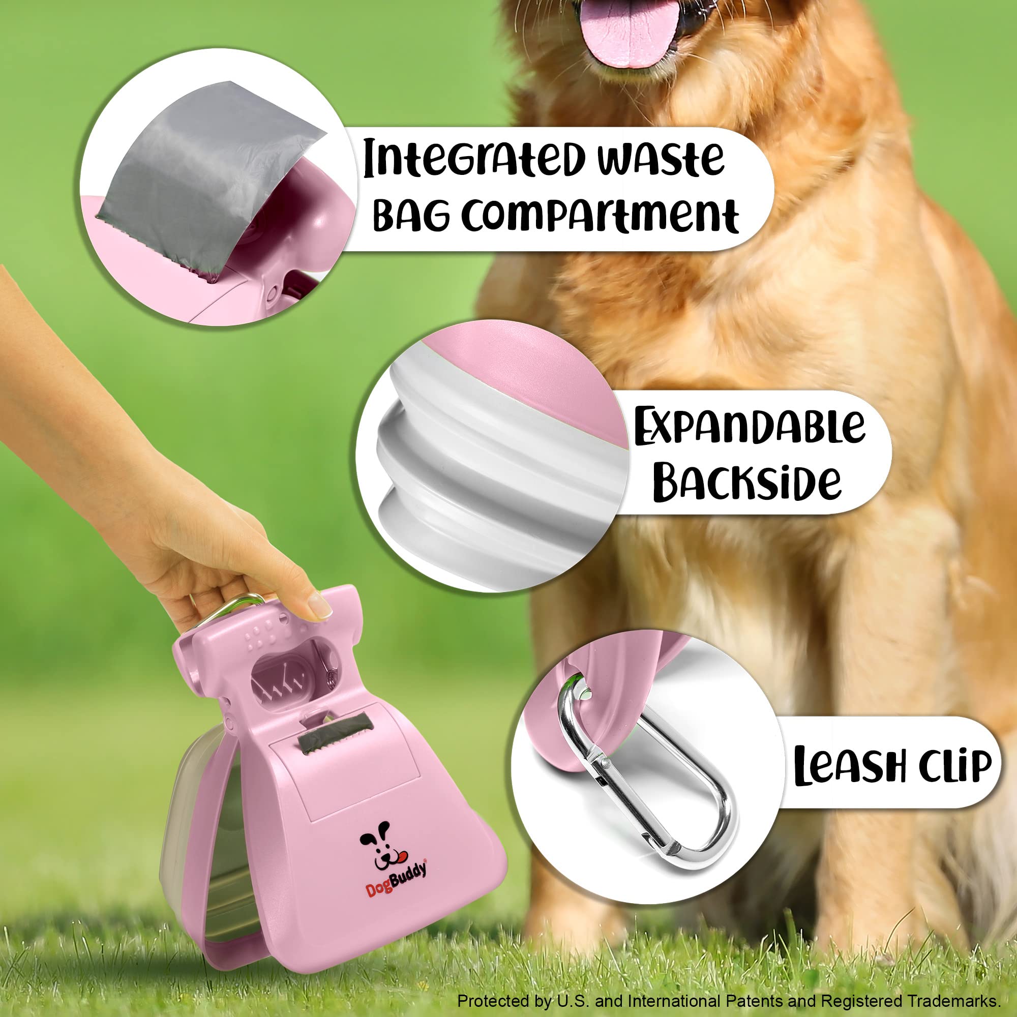 DogBuddy compartiment porte-sacs ouvert montrant rouleau de sacs inclus