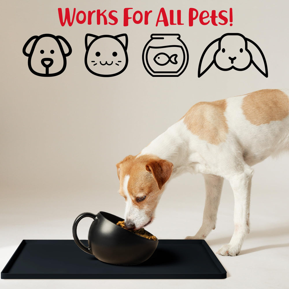 DogBuddy tapis sous gamelle, stabilité accrue pour repas sans renverse