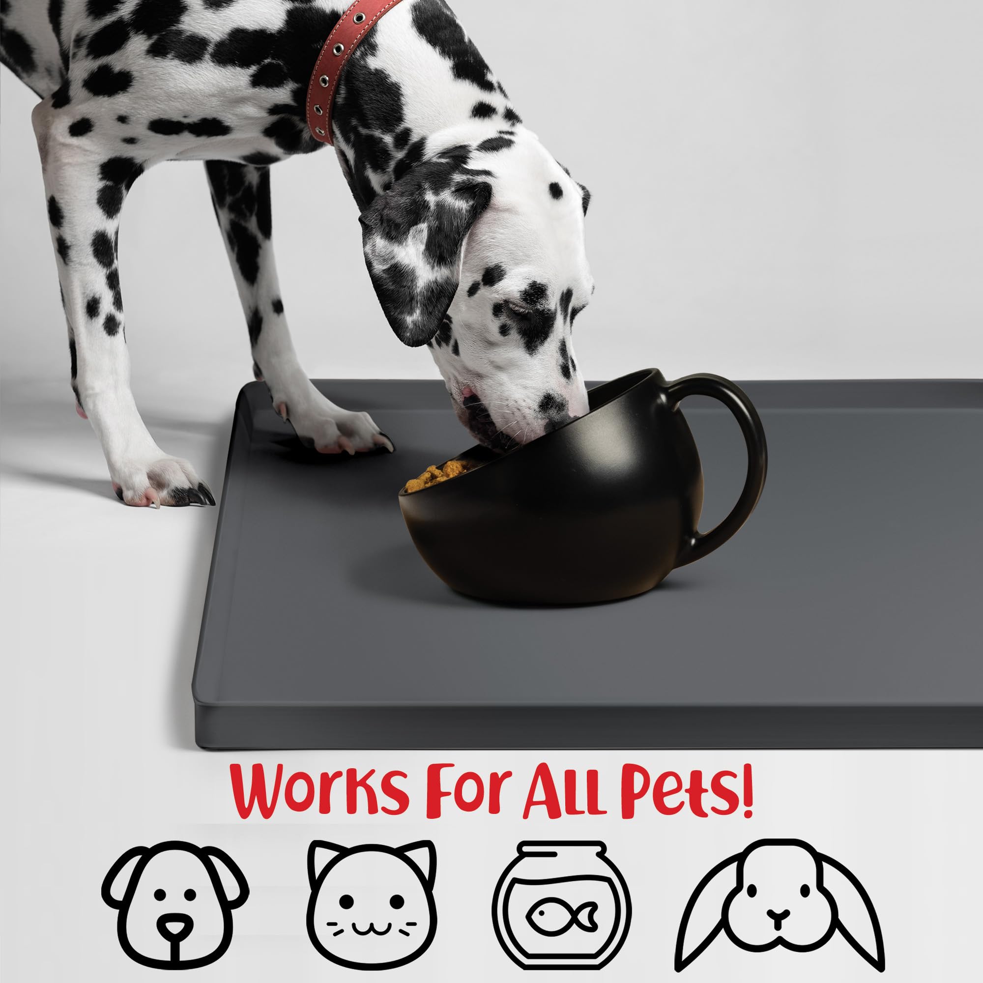 DogBuddy détail des bords hauts retenant eau et croquettes