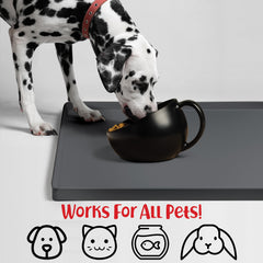 DogBuddy détail des bords hauts retenant eau et croquettes