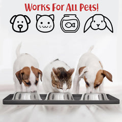DogBuddy détail bords hauts retenant eau et croquettes efficacement
