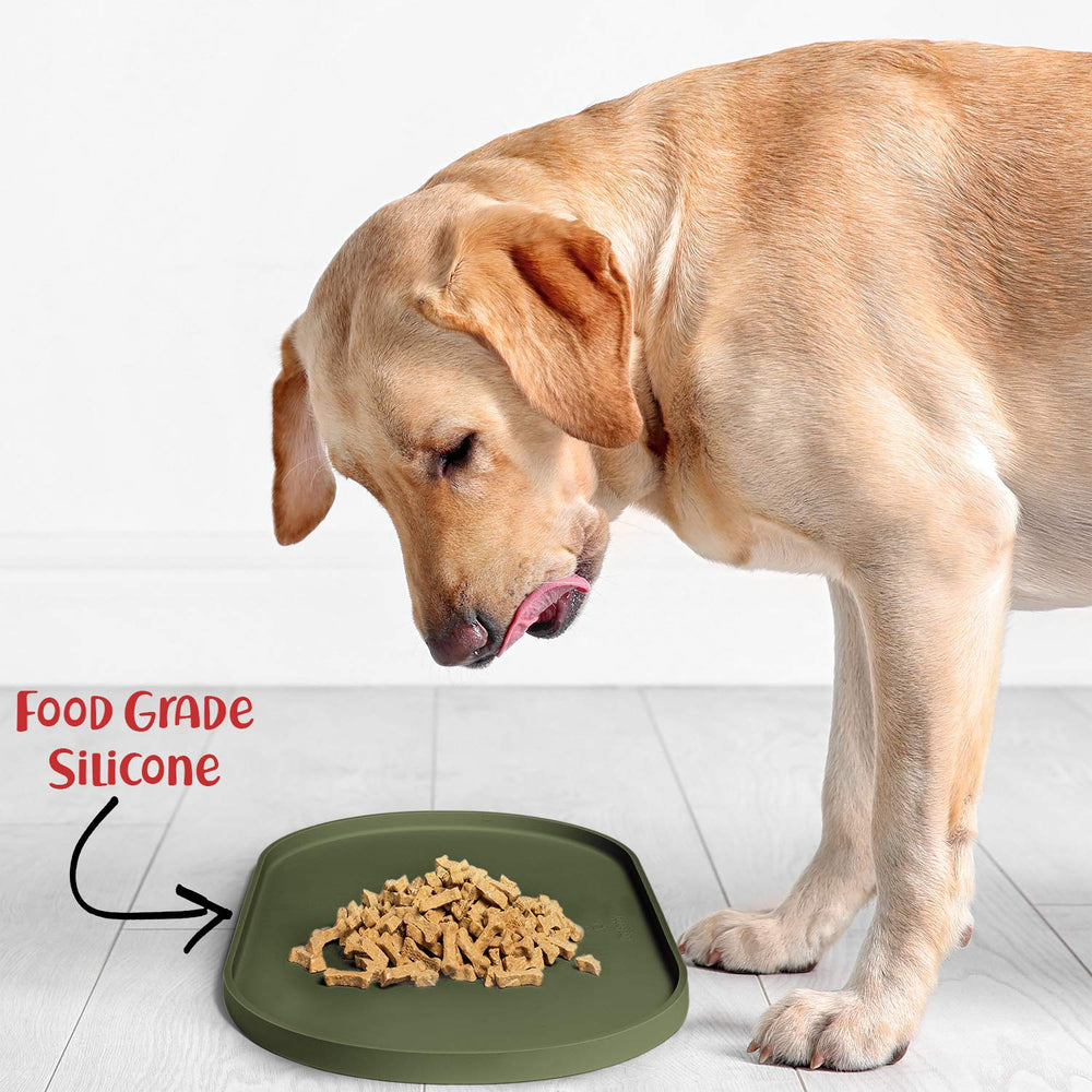DogBuddy comparaison taille avec une gamelle pour visualiser l'échelle utile