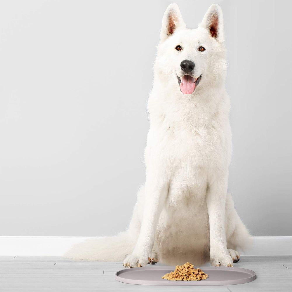 DogBuddy étiquette matériau indiquant silicone sûr et sans BPA