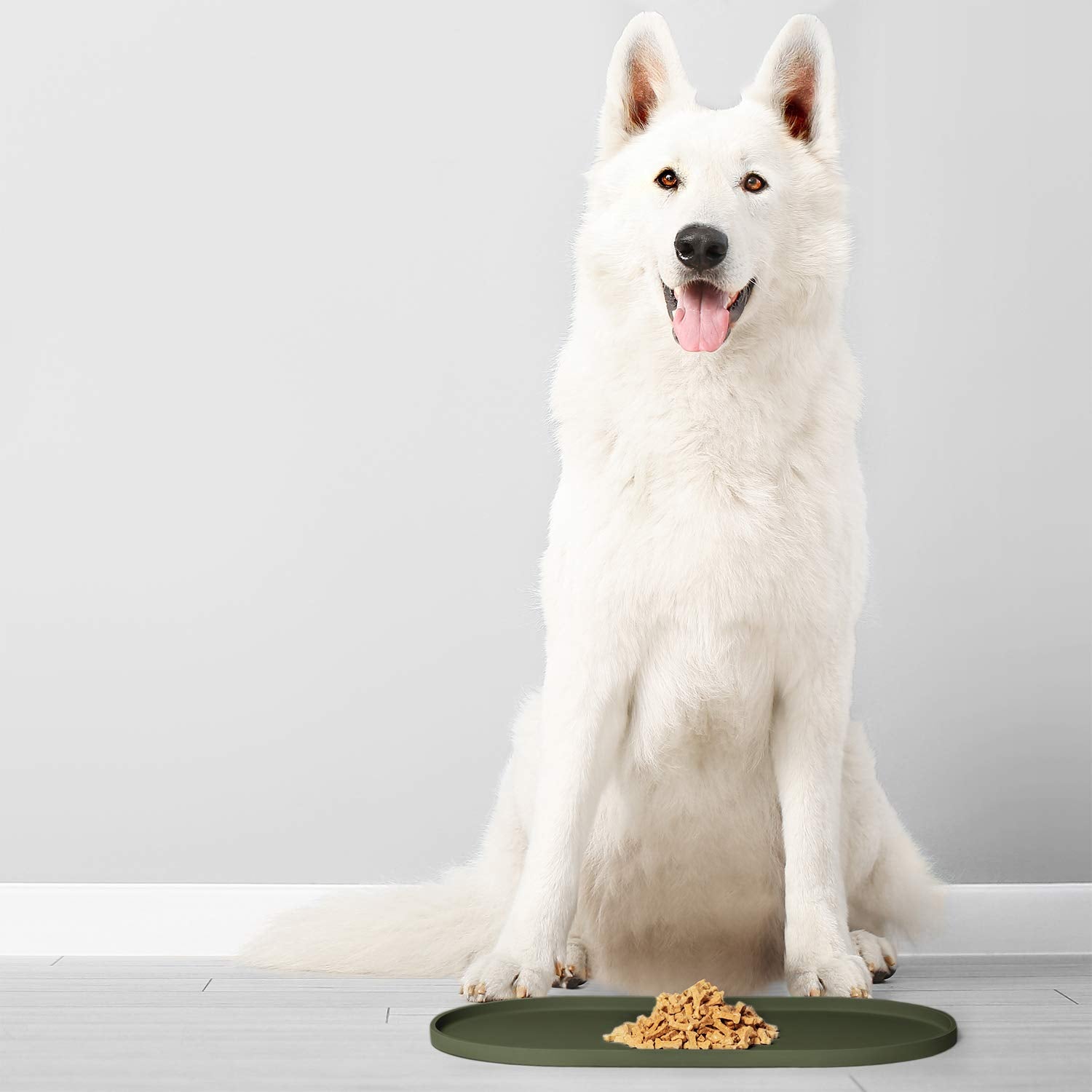 DogBuddy tapis kaki posé dans une cuisine moderne s'intégrant discrètement au décor