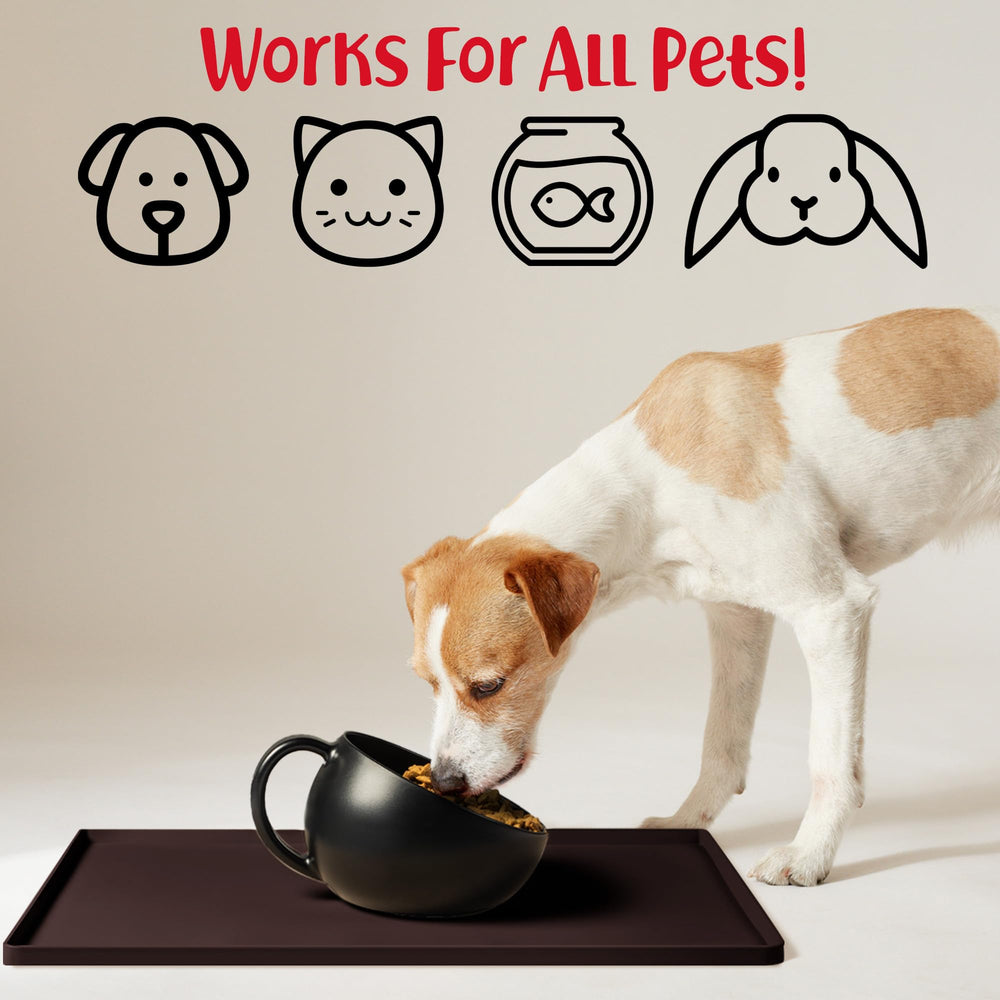 DogBuddy tapis avec gamelles en usage stabilise les bols et évite glissements