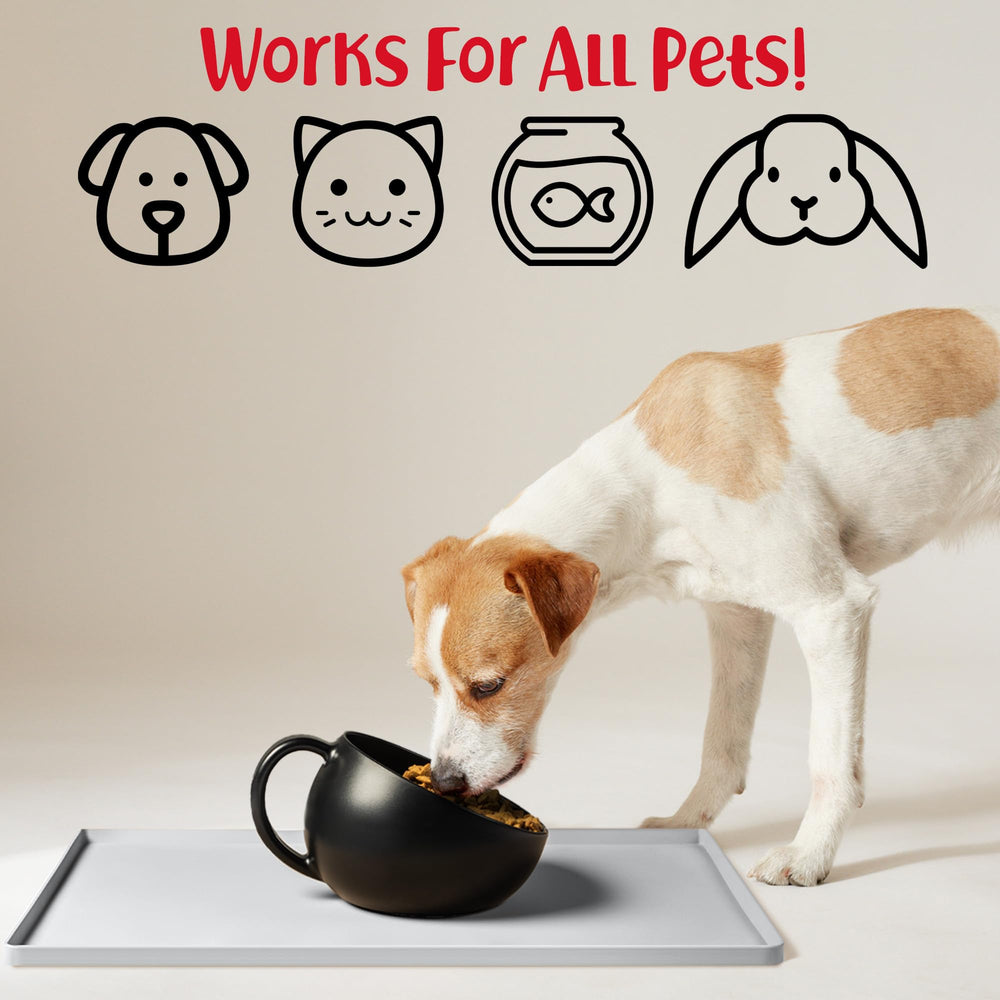 DogBuddy bord haut 0,6 pouce retient eau et croquettes efficacement