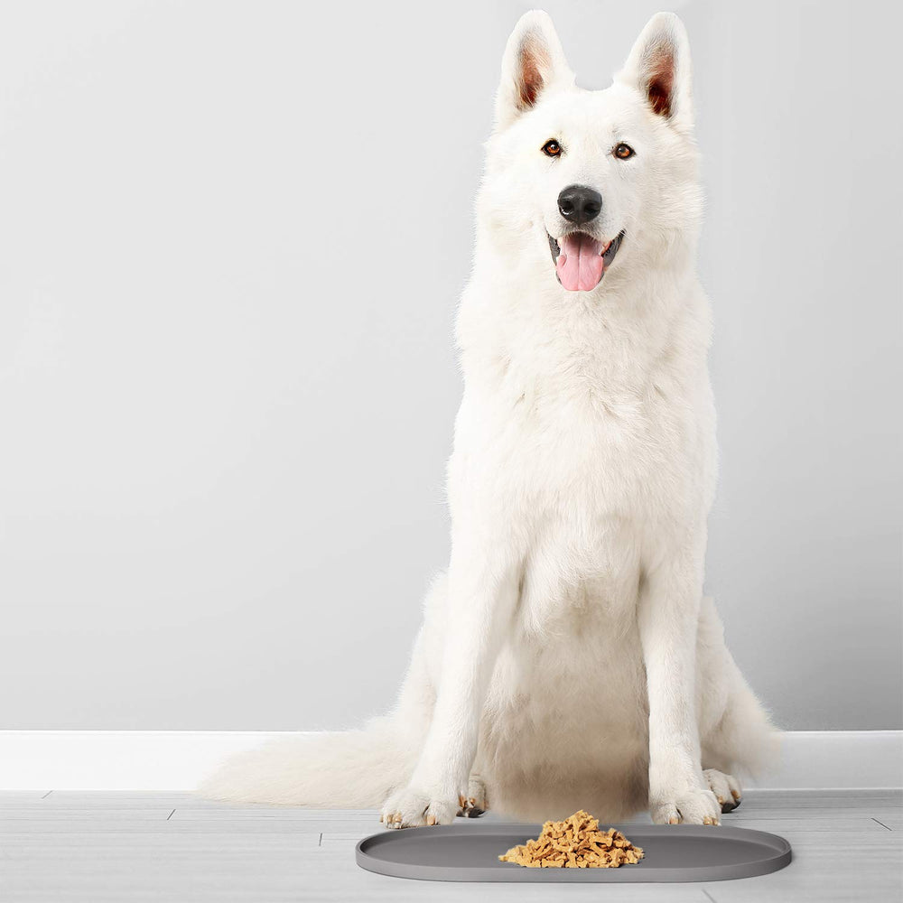 DogBuddy tapis dans un lave-vaisselle démontre nettoyage sans effort