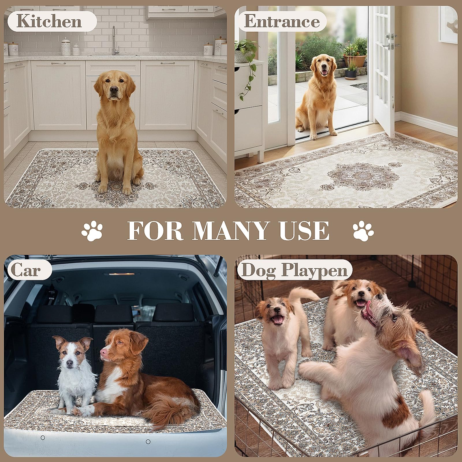 Dogcator comparaison d'échelle 36"x48" montrant couverture d'une grande surface