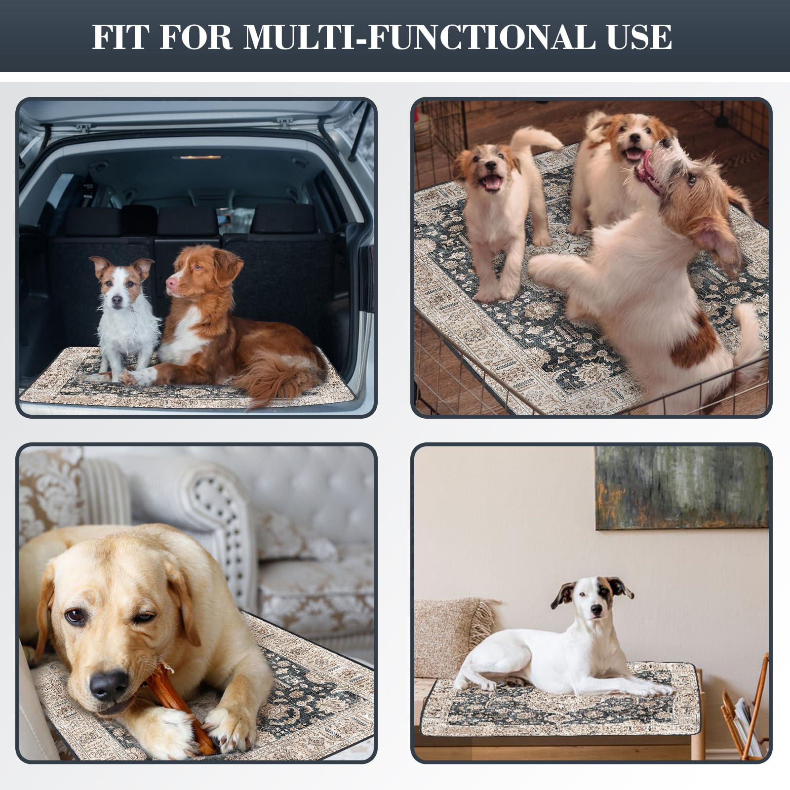 Dogcator comparaison taille 36x48 pouce illustrant couverture vaste