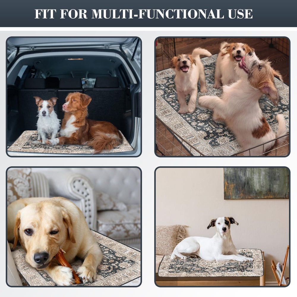 Dogcator comparaison taille 36x48 pouce illustrant couverture vaste