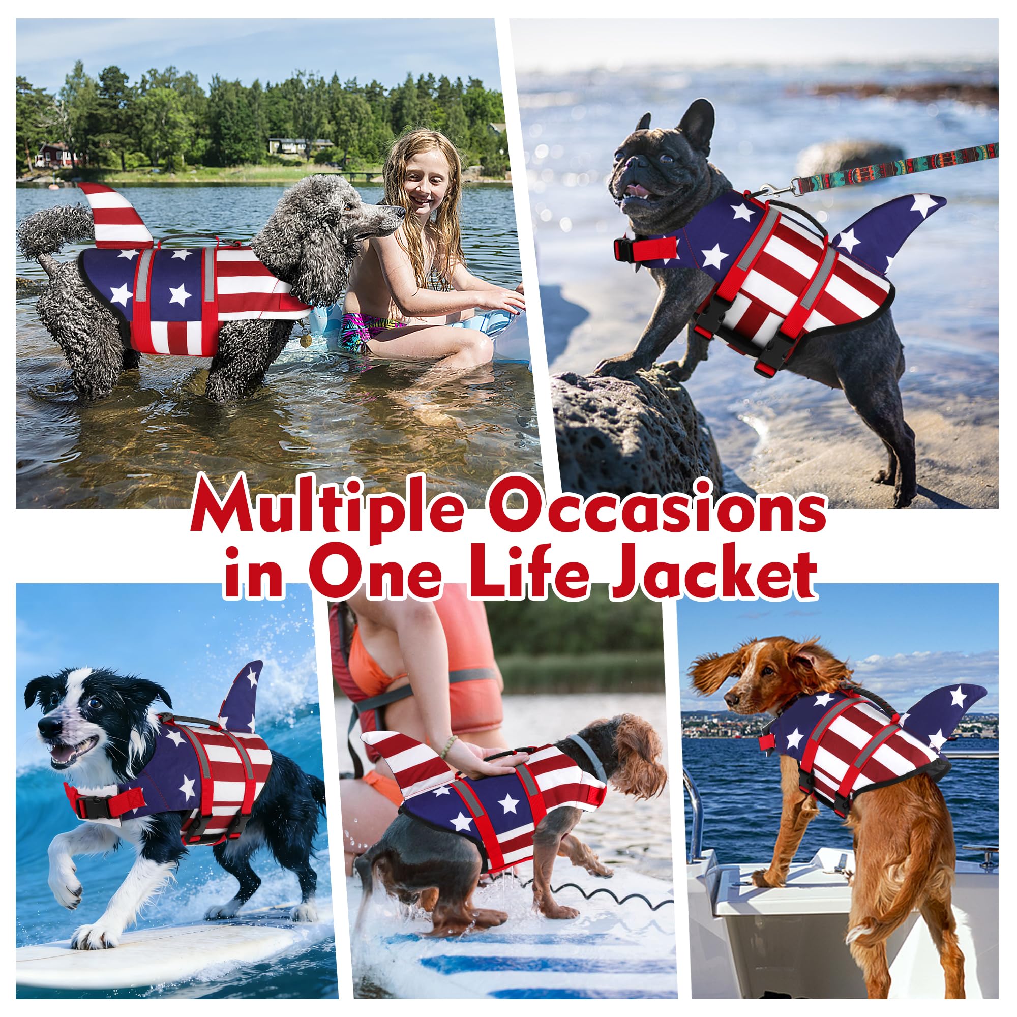 Dogcheer gilet porté sur chien à la plage pour sorties sereines