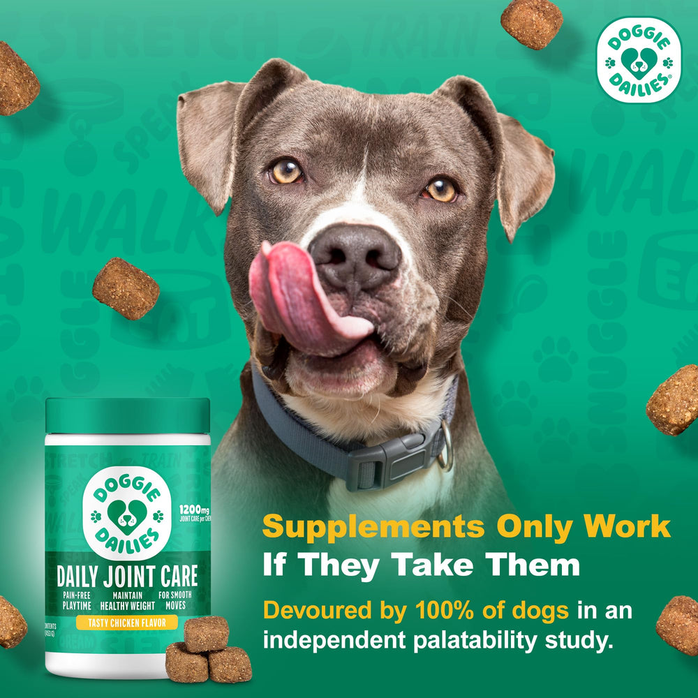 Doggie Dailies gros plan sur texture du chew, appétence visible et pratique