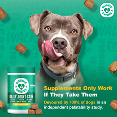 Doggie Dailies gros plan sur texture du chew, appétence visible et pratique