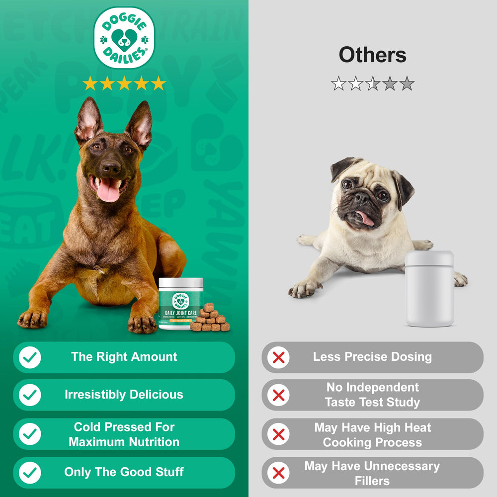 Doggie Dailies chien acceptant une mastication démontrant facilité d'administration