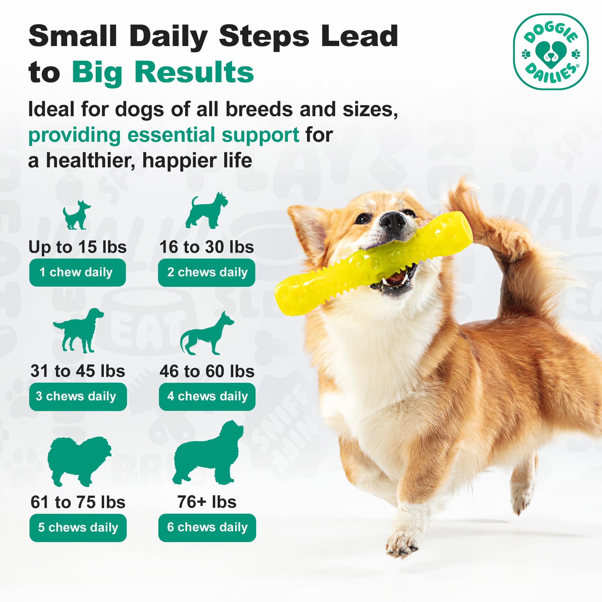 Doggie Dailies coupe montrant texture interne et ingrédients pour absorption