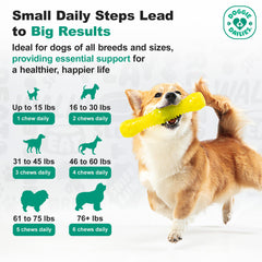 Doggie Dailies coupe montrant texture interne et ingrédients pour absorption
