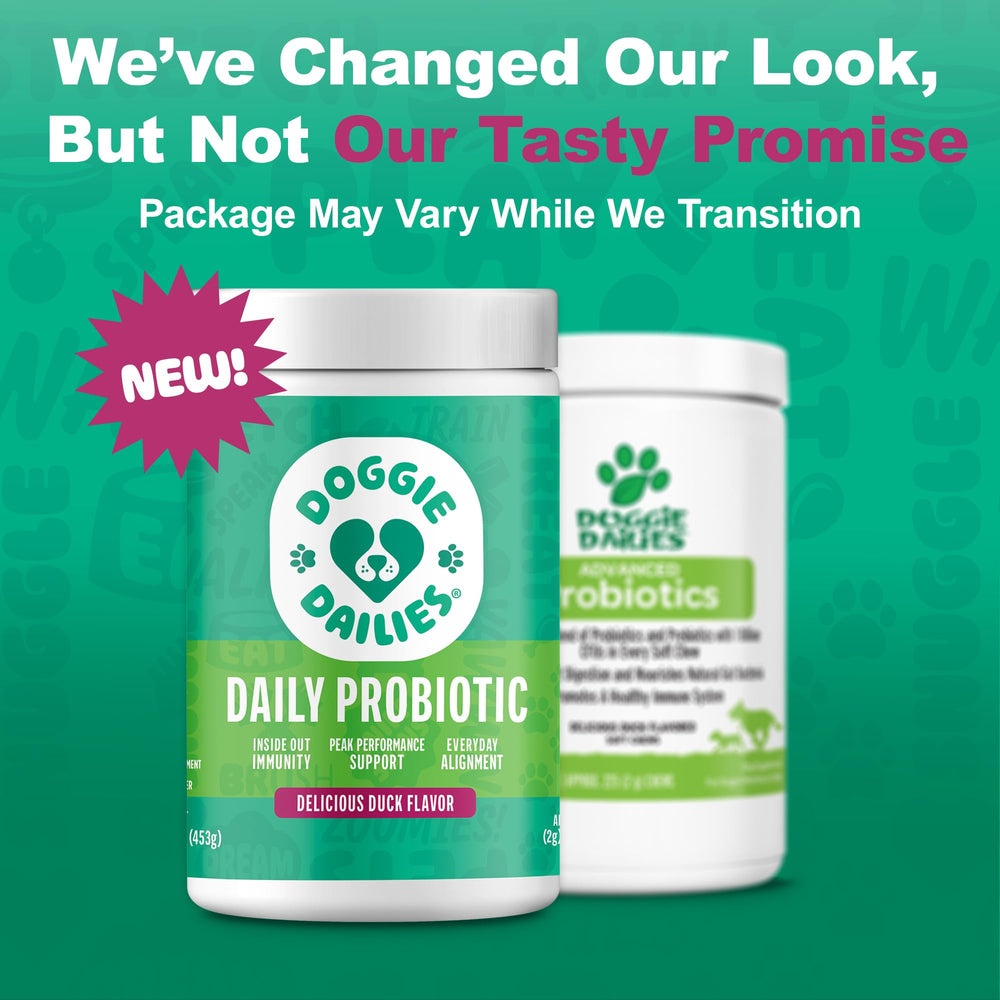 Doggie Dailies pot ouvert montrant quantité intérieure et conservation facile
