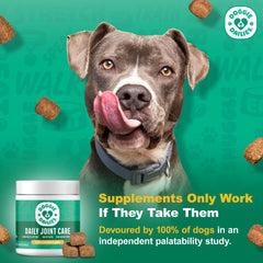 Doggie Dailies gros plan d'une mastication pour appétence et texture attrayante