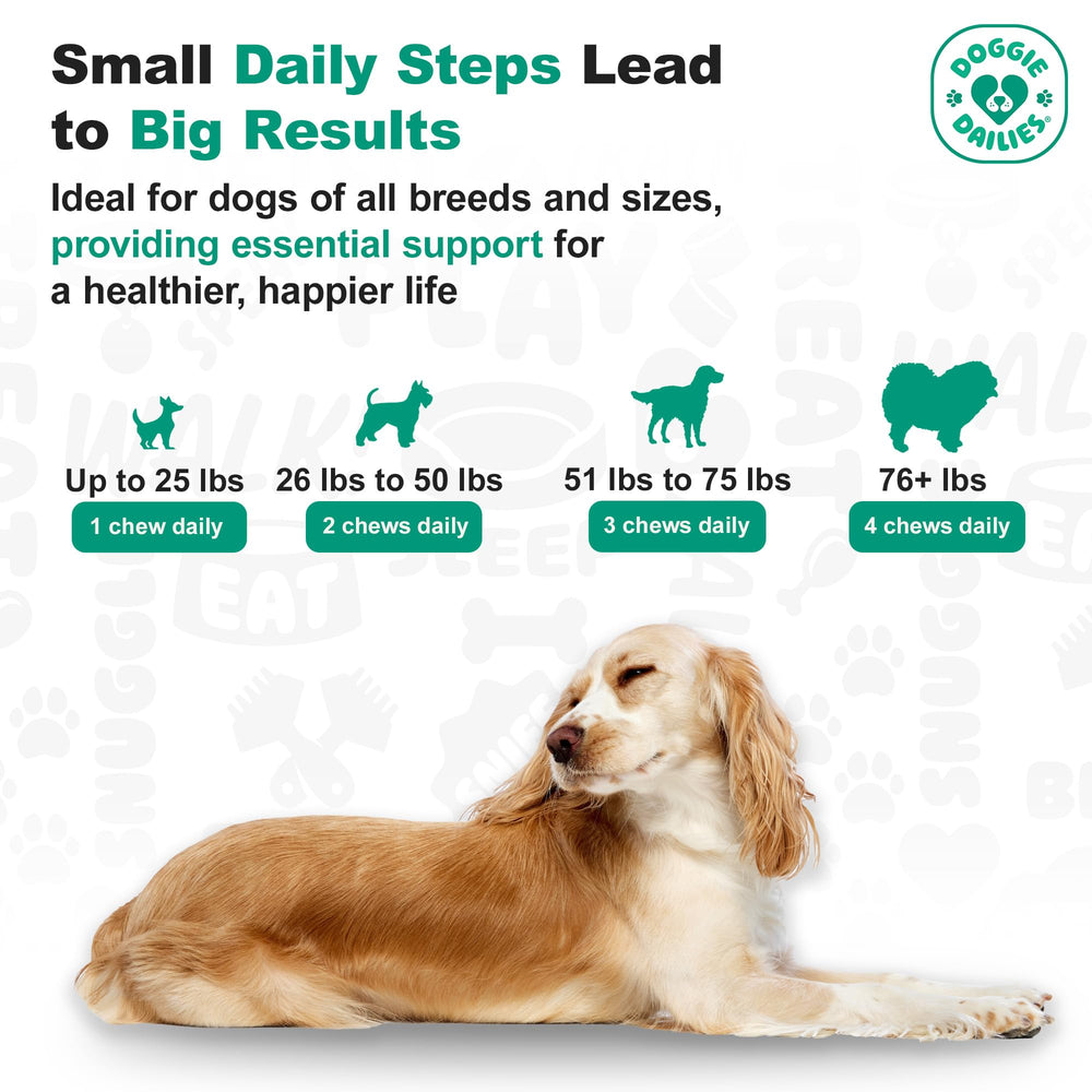 Doggie Dailies sceau NASC et certifications attestant contrôle qualité