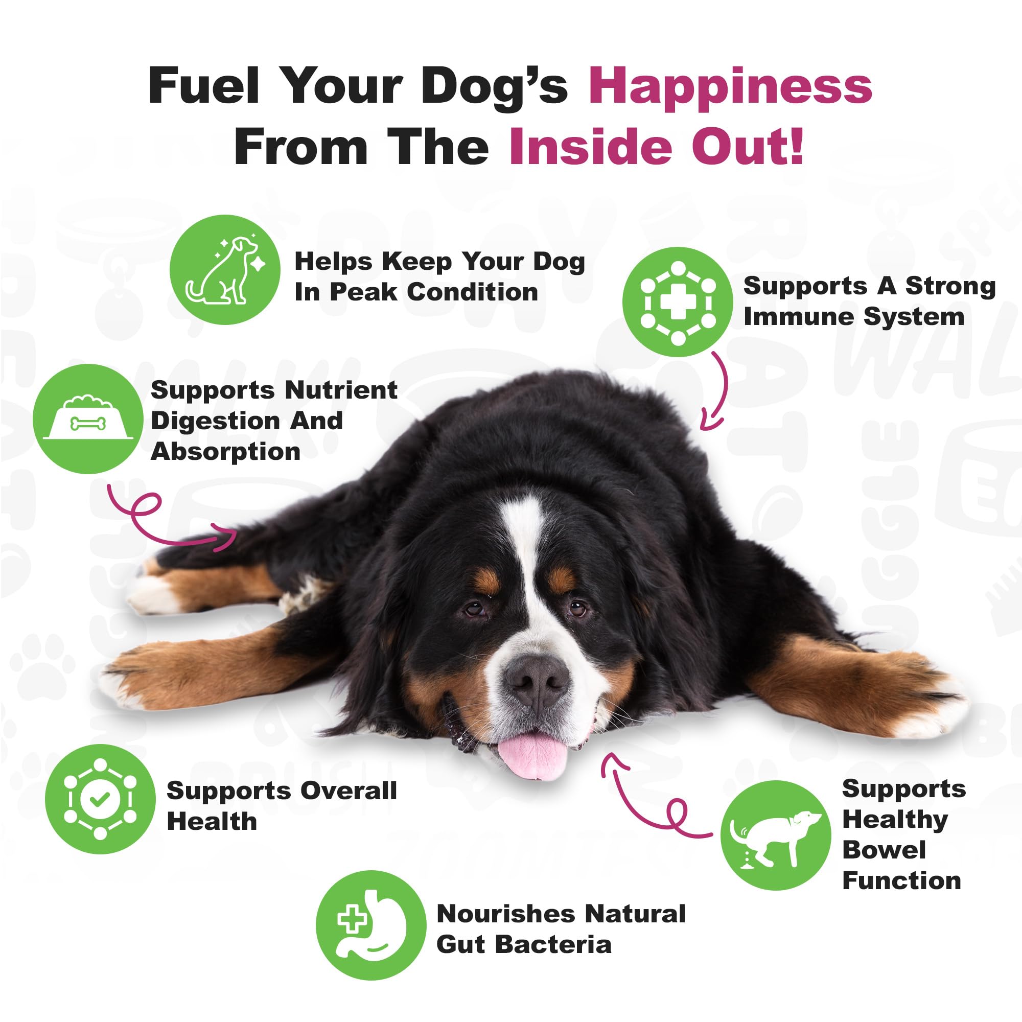 Doggie Dailies étiquette avec tableau des nutriments pour consultation claire