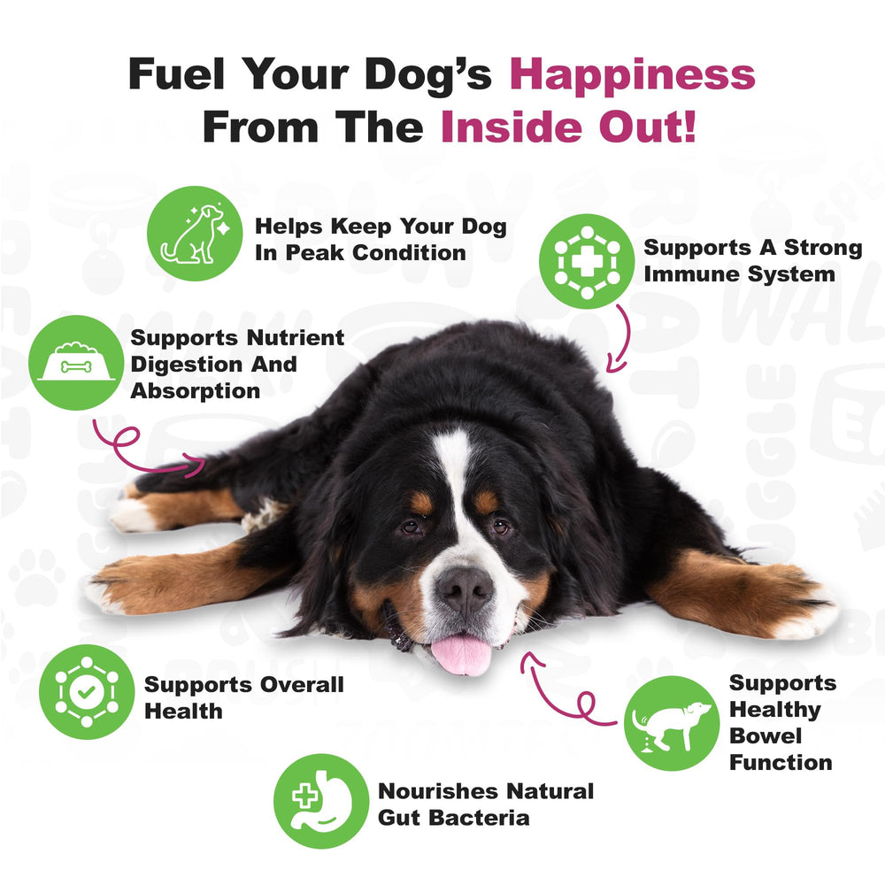 Doggie Dailies étiquette avec tableau des nutriments pour consultation claire
