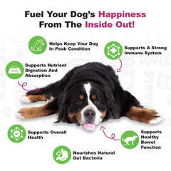 Doggie Dailies étiquette avec tableau des nutriments pour consultation claire