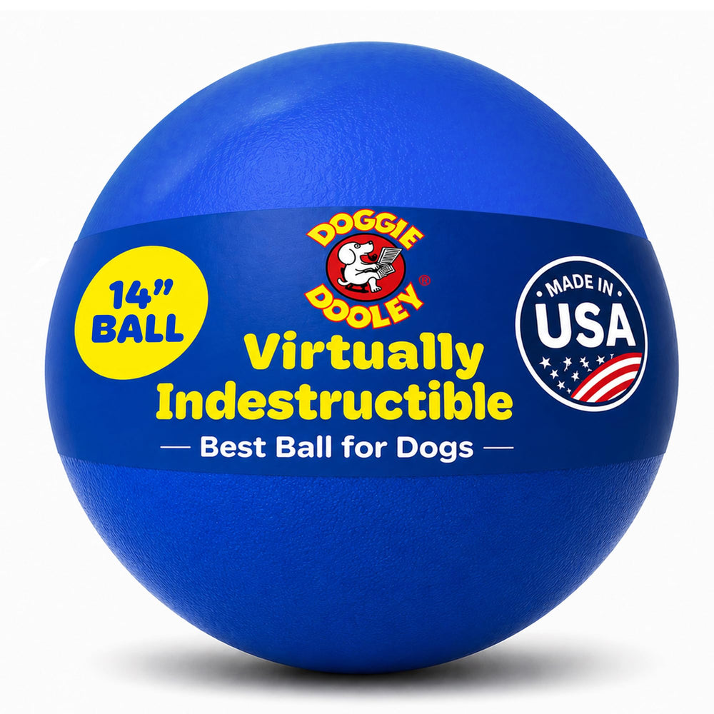 Doggie Dooley balle vue avant durable pour jeux guidés