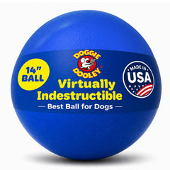 Doggie Dooley balle vue avant durable pour jeux guidés
