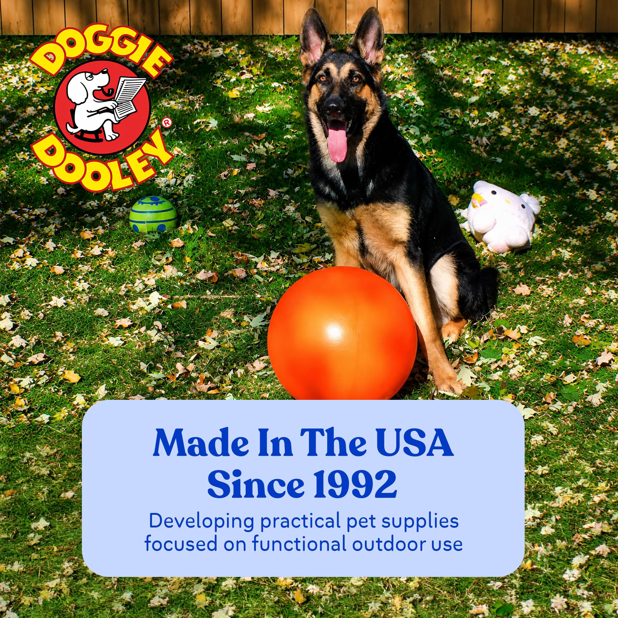 Doggie Dooley balle dans jardin illustrant activité extérieure sécurisée