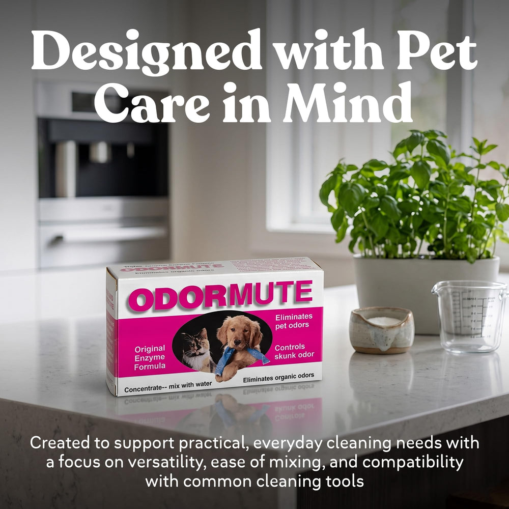Doggie Dooley scène salon avec chien pour démontrer fraîcheur après nettoyage
