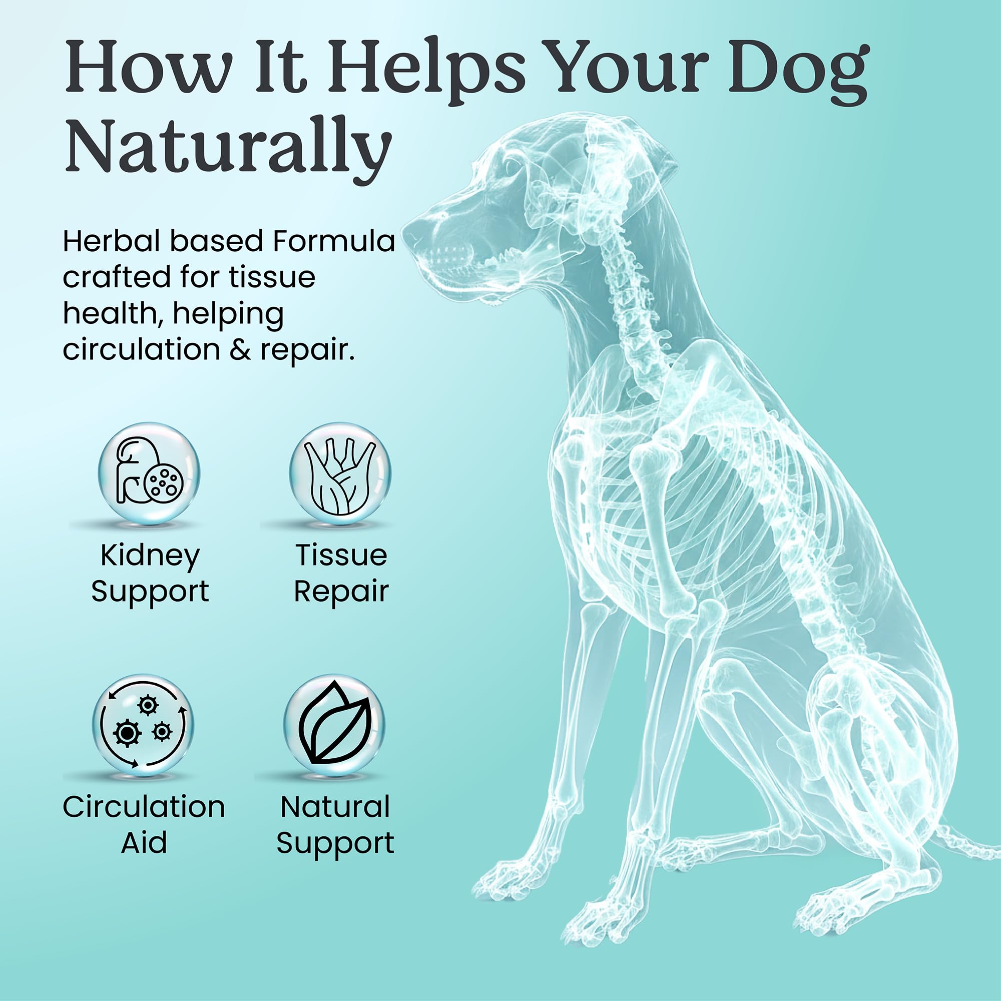Doggie Herbs cuillère doseuse pour comparer quantité selon le poids du chien
