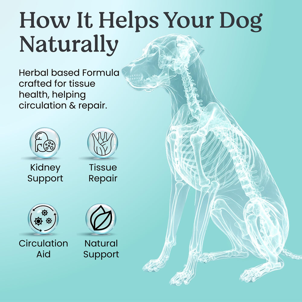 Doggie Herbs cuillère doseuse pour comparer quantité selon le poids du chien