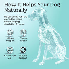Doggie Herbs cuillère doseuse pour comparer quantité selon le poids du chien