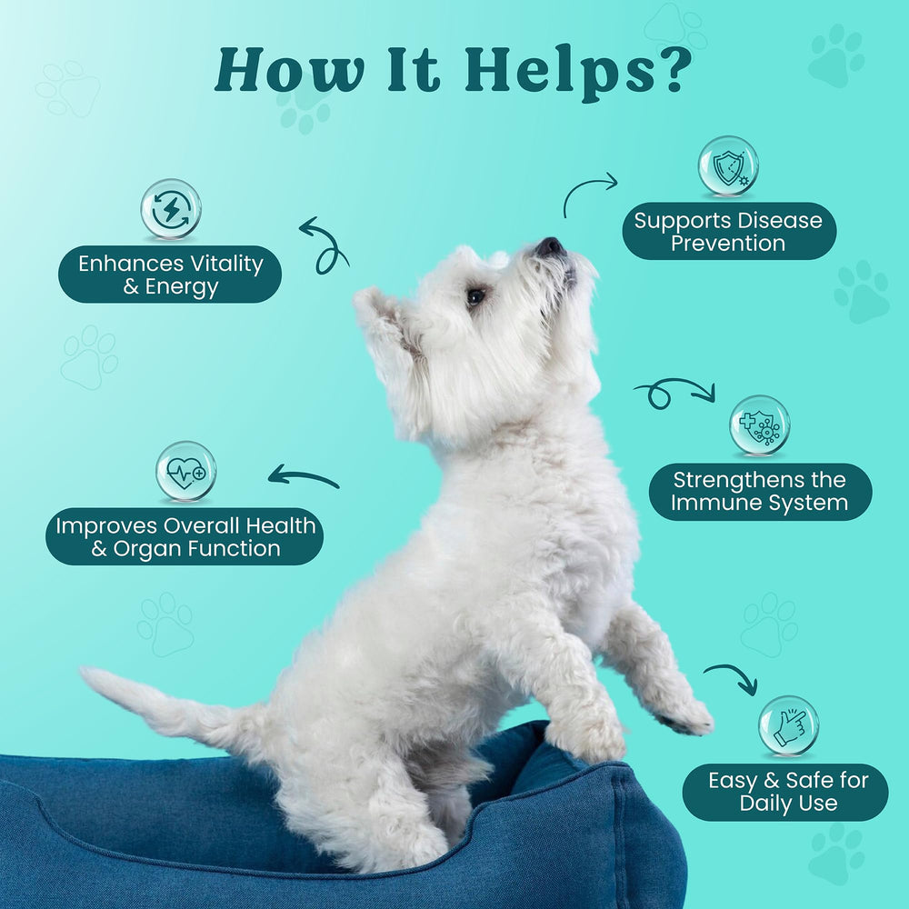 Doggie Herbs étiquette détaillée indiquant ingrédients TCM et tests en laboratoire
